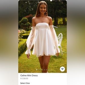 Alamour the Label Celine mini dress